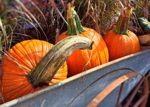 octobre taux restent bas